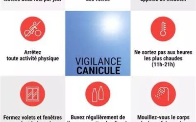 Vigilance Canicule
